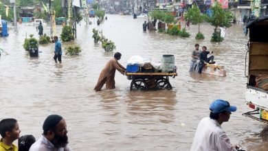 Photo of पाकिस्तान में बढ़ता जा रहा बाढ़ का तांडव, इंजीनियरों ने तोड़ी सबसे बड़ी ताजे पानी की झील