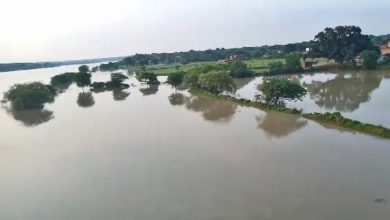 Photo of कचौरा में तेजी से बढ़ रहा यमुना का जलस्तर, हनुमान मंदिर डूबा