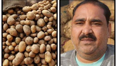 Photo of  आलू उत्पादक किसानों को इस बार आलू भंडारण में दिखाई दे रहा भारी फायदा