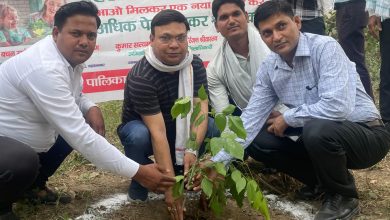 Photo of पालिकाध्यक्ष ने पौधरोपण करते  वातावरण हरित बनाने का किया आह्वाहन