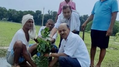 Photo of अखिलेश के आह्वाहन पर “महोला” गांव में आयोजित हुआ पीडीए पौधरोपण 