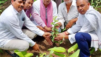 Photo of अखिलेश के निर्देश पर सपा ब्लॉक अध्यक्ष ने शुरू किया”पीडीए पौधरोपण” 