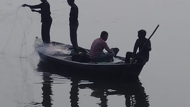 Photo of लवेदी क्षेत्र में मां का अंतिम संस्कार करने गये पुत्र भी यमुना में नहाते समय डूबा सुबह से नहीं लगा कोई सुराग। लवेदी थाना पुलिस ने गोताखोरों से खोजबीन कराई लेकिन नहीं लगा कोई सुराग।